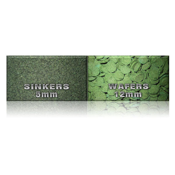 Feedwell Algae Sinker 300g