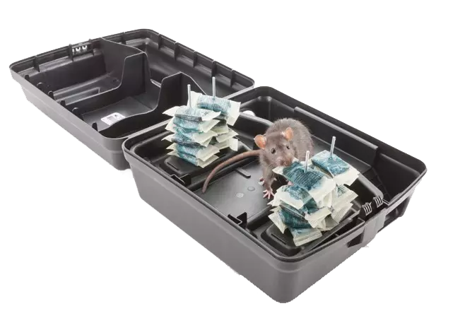 TOMCAT SOFTBAIT 6 x 800g