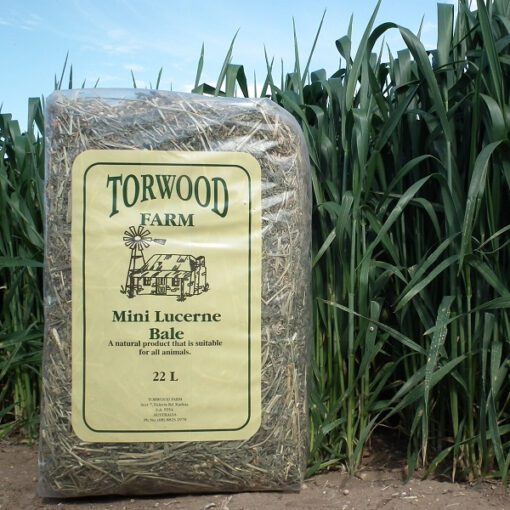 Torwood Farm Mini Lucerne Bale 22L