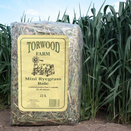 Torwood Farm Mini Rye Grass Bale22L