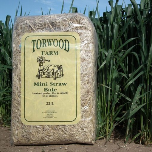 Torwood Farm Mini Straw Bale 22L