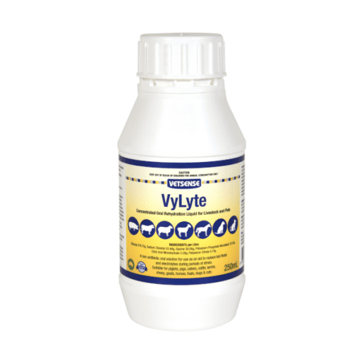 Vetsense VyLyte 250ml