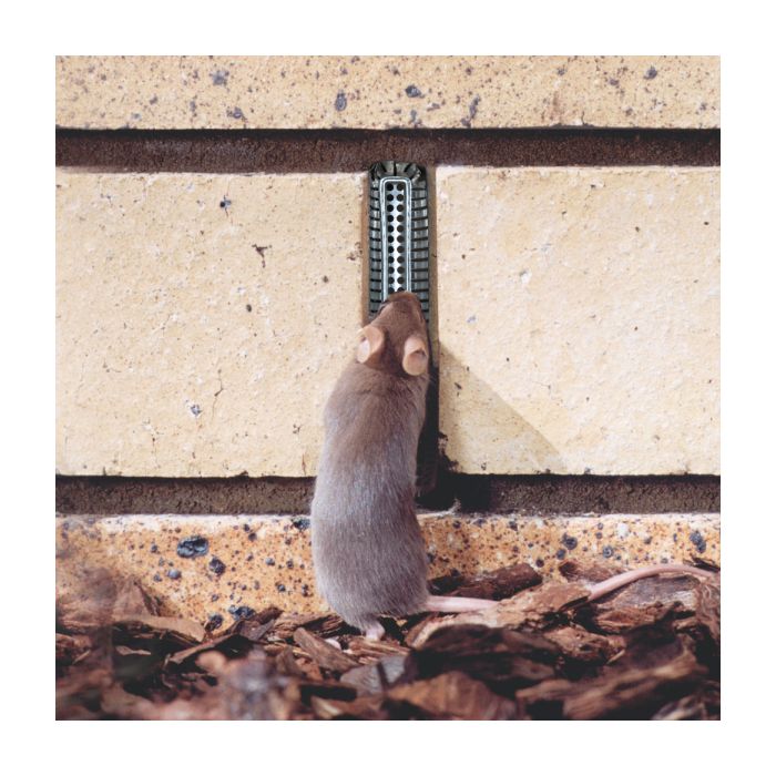 WEEPA PROTECTOR WEEP HOLE SCREEN (PK20)