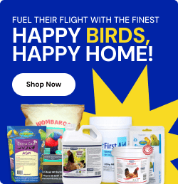 Happy Birds, Happy Home!