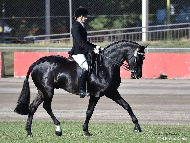 Dyna V Luronica 1L *