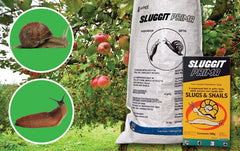 Sluggit Prima 30 Snail & Slug Bait 25kg - Metaldehyde Pest Control Crop Protection Granules