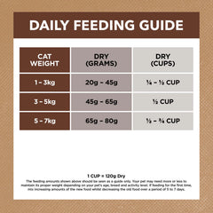 Ivory Coat CAT Indoor Chicken Kang 6kg TBD - Dry Cat Food Protein Grain Free Gut Health